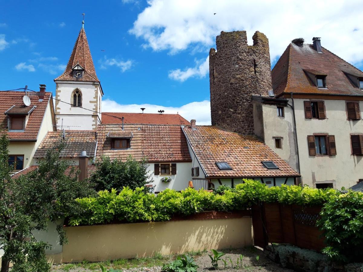 Gîte romantique La Vigne Dort Herrlisheim-près-Colmar Extérieur photo